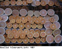 Hydrothermale Karbonisierung (HTC) - was ist denn das?