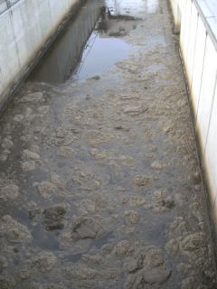 Keine Hexerei: Eine automatische Schwimmschlamm-Erkennung