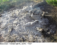 Bild FW-Schla-Klaerschlammasche-F.JPG