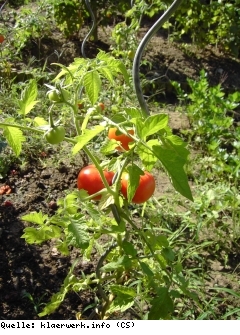 Bild Nuet-Welt-Garten-F.JPG