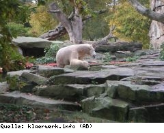Umwelt 2010: Von der Erkenntnis zur Entscheidung